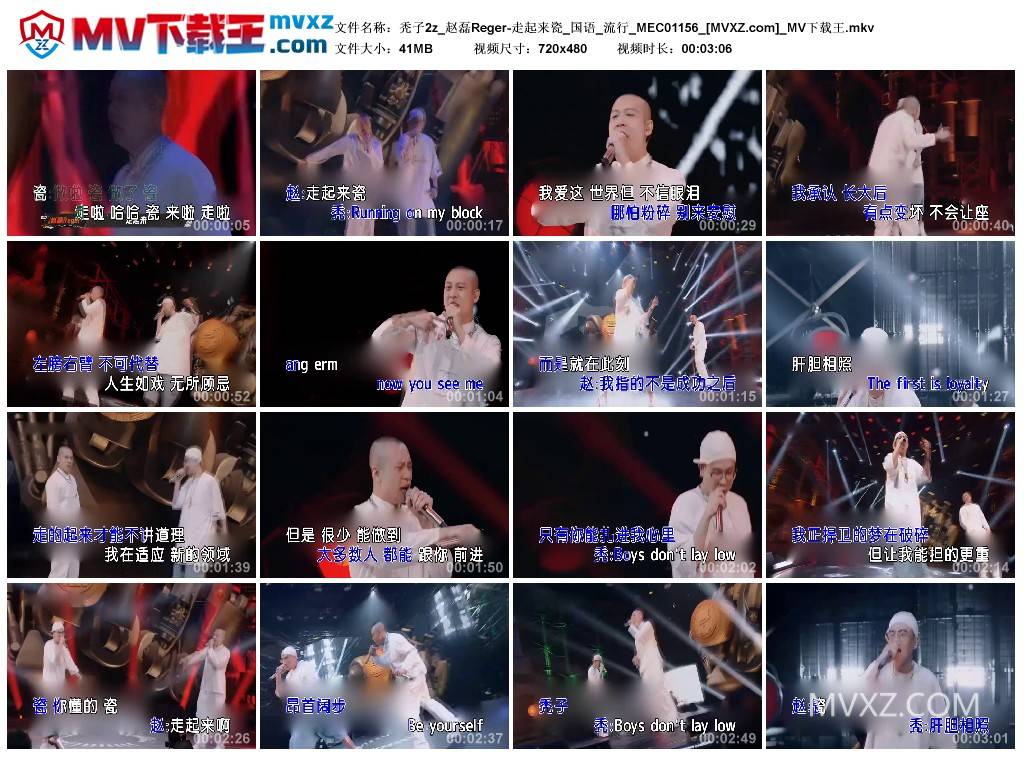 秃子2z_赵磊Reger-走起来瓷_国语_流行_MEC01156